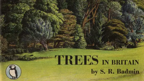 Estate of Mrs R Badmin An image from a Puffin Picture Book called Trees in Britain, 1943 by Stanley Badmin. There is a Puffin drawing to the left and drawings of trees with grass in front. 