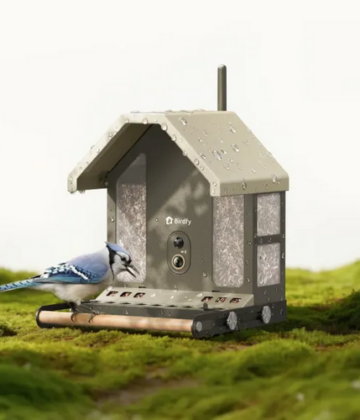 Birdfy Feeder Metal 2 4K Brings Ultra-HD Livestreaming to Your Backyard Birdwatching