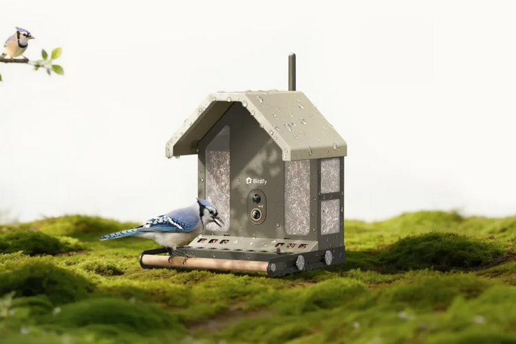 Birdfy Feeder Metal 2 4K Brings Ultra-HD Livestreaming to Your Backyard Birdwatching